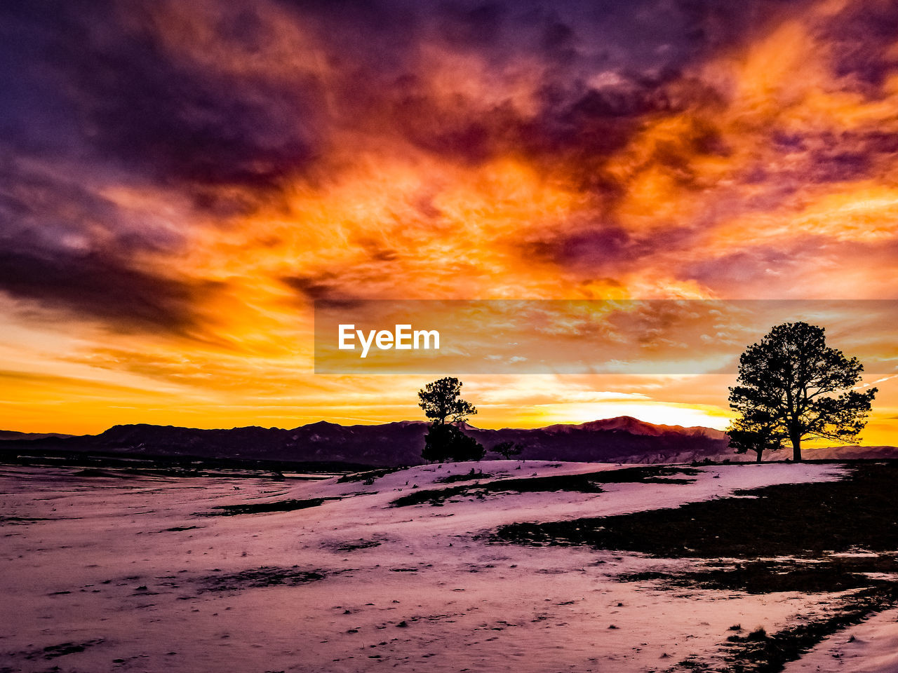 SCENIC VIEW OF SILHOUETTE TREES ON FIELD AGAINST SKY DURING SUNSET