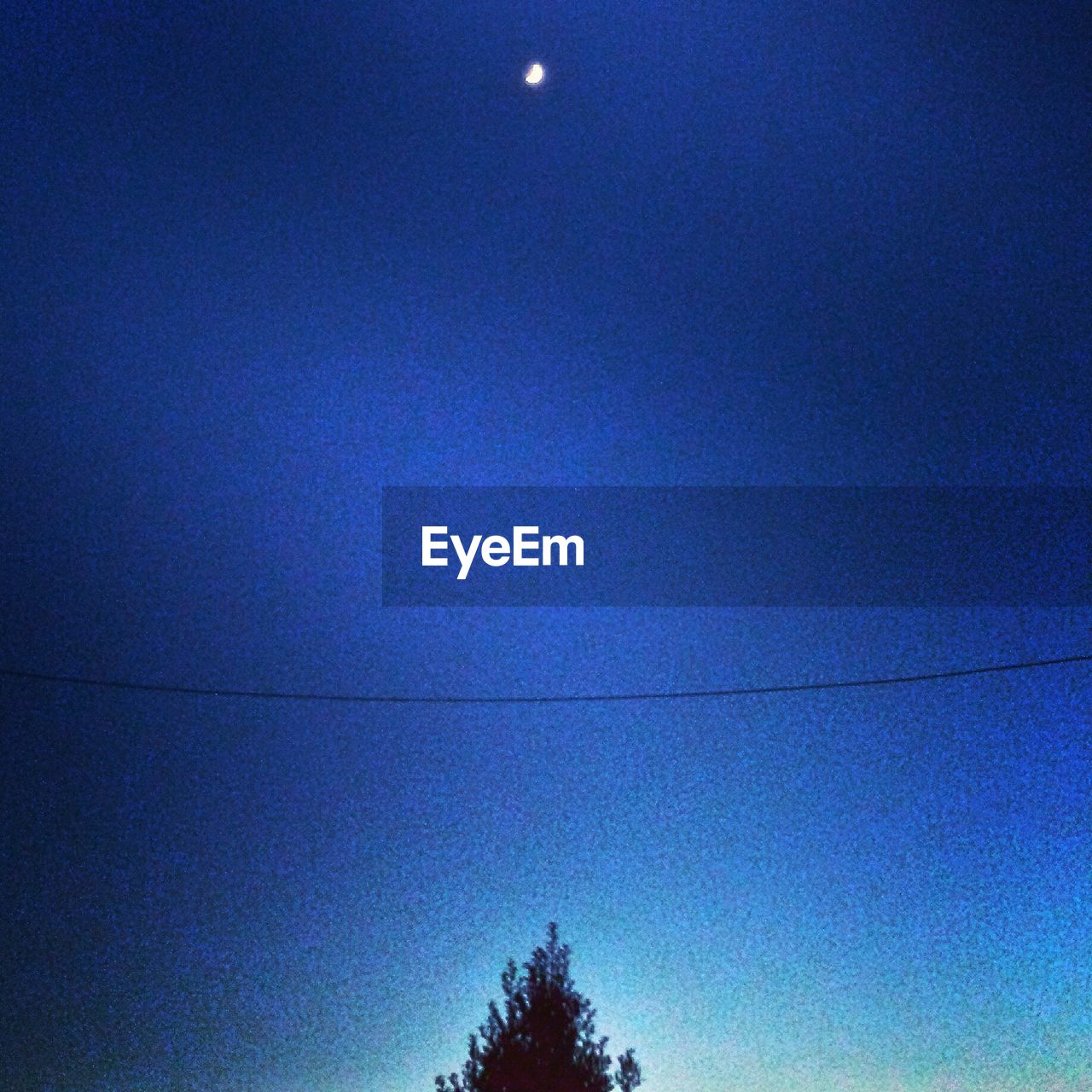 LOW ANGLE VIEW OF TREES AGAINST SKY