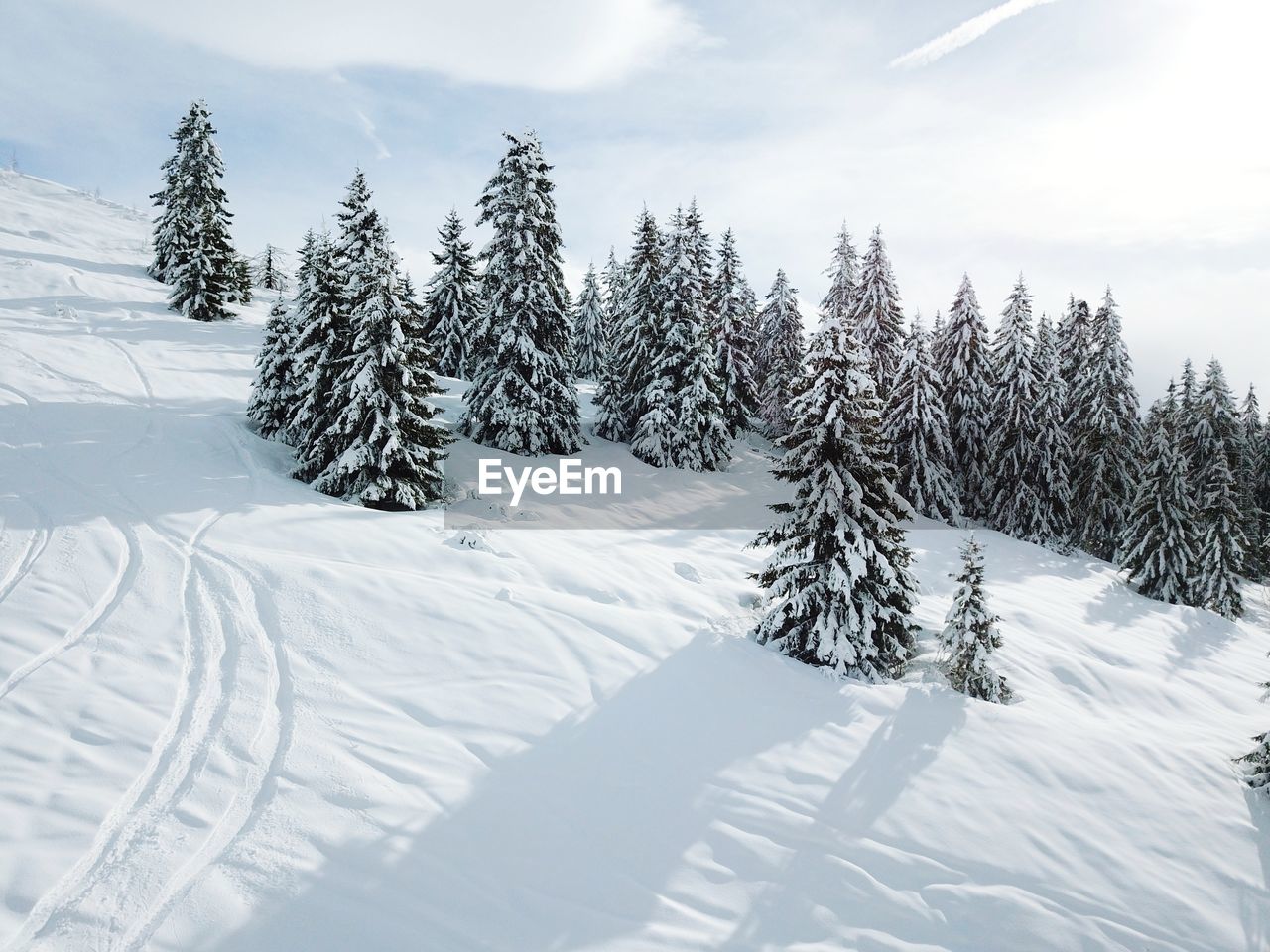 Snow covered trees against sky