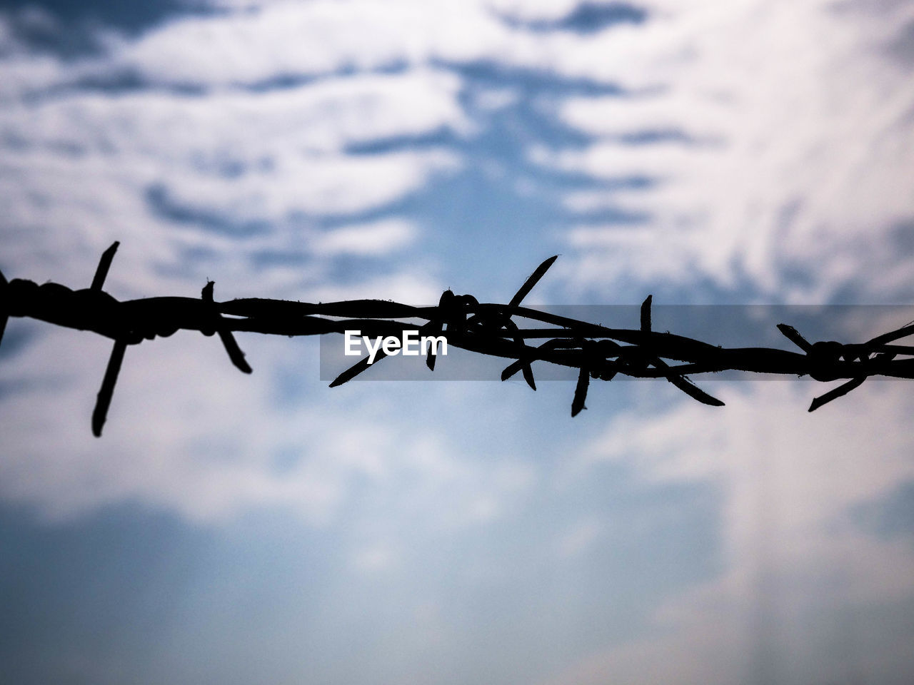 CLOSE-UP OF BARBED WIRE AGAINST FENCE