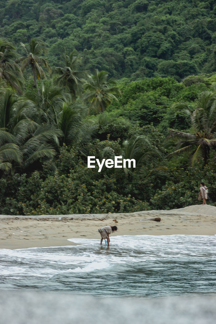 MAN WALKING ON BEACH AGAINST TREES