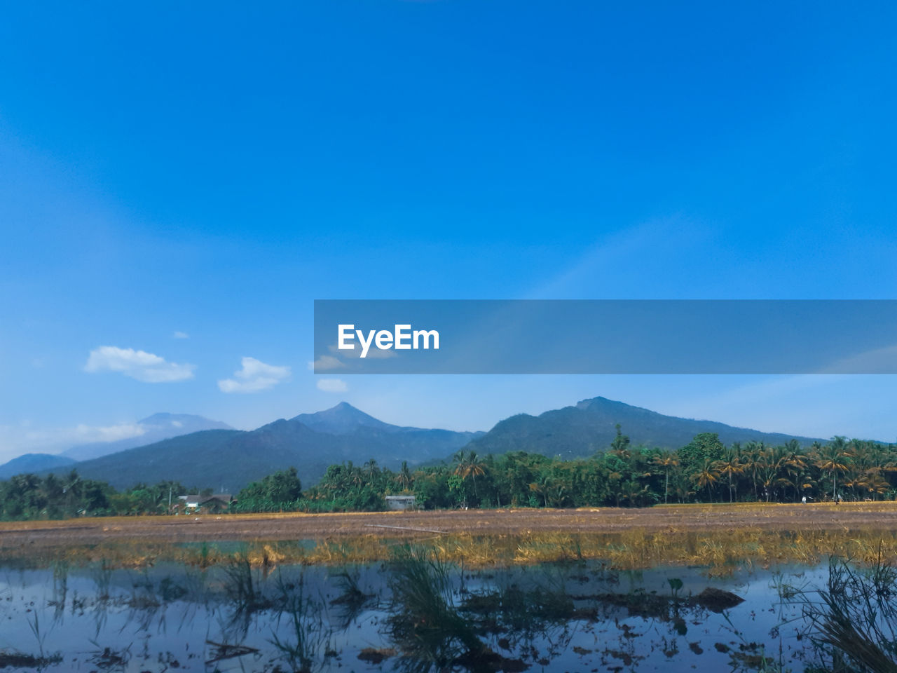 Scenic view of lake against blue sky