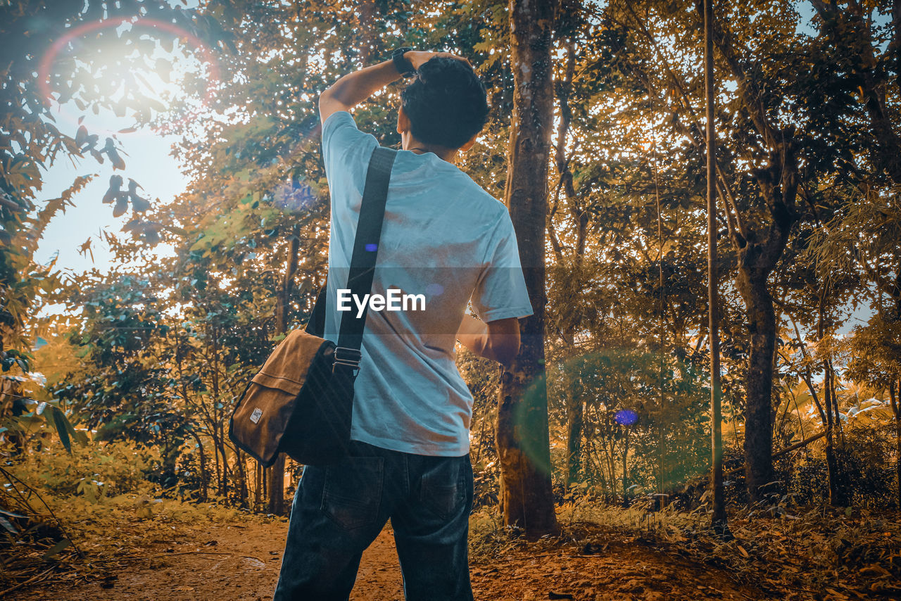 Rear view of man standing by trees in forest