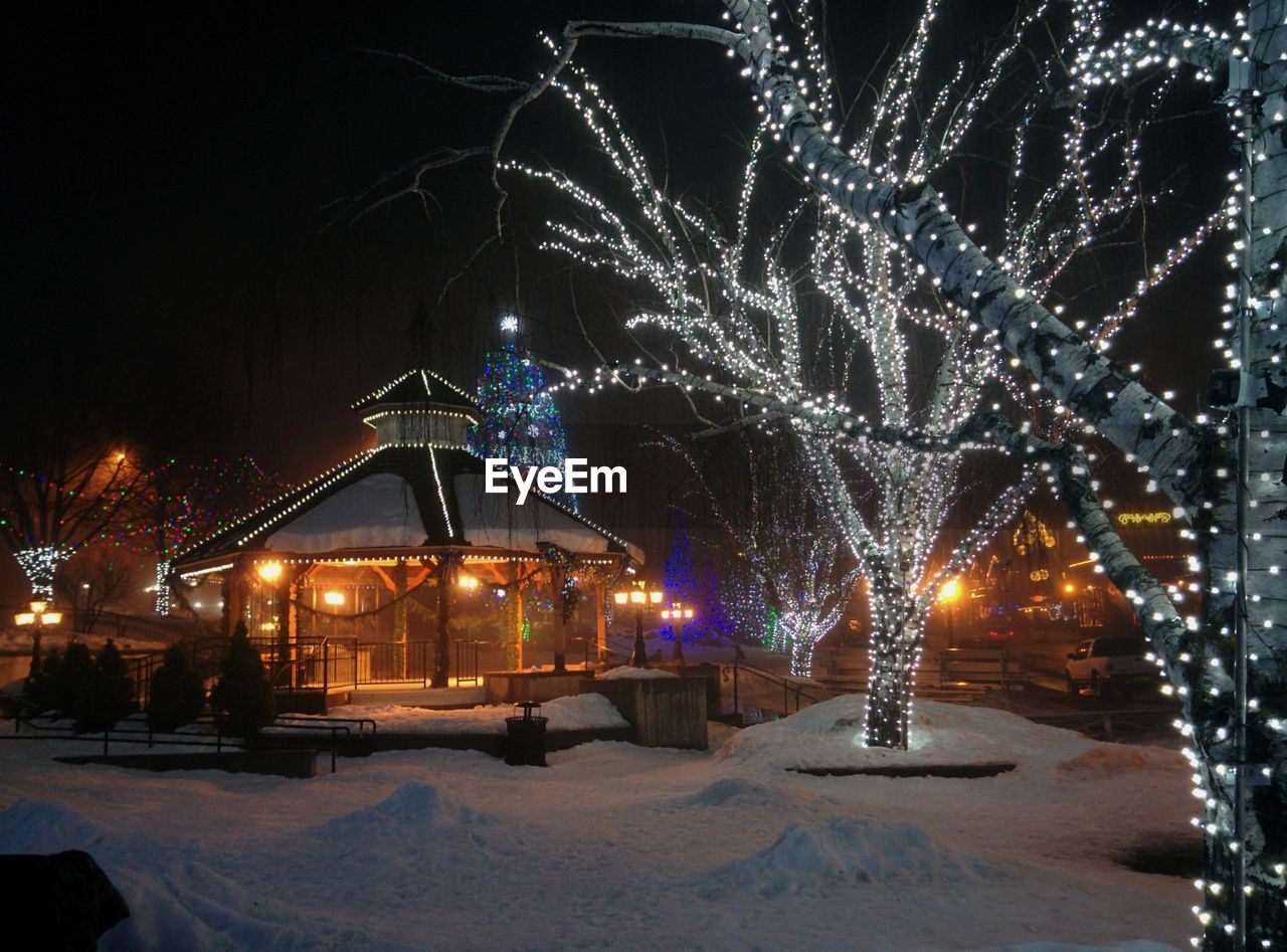 ILLUMINATED CHRISTMAS TREE IN WINTER