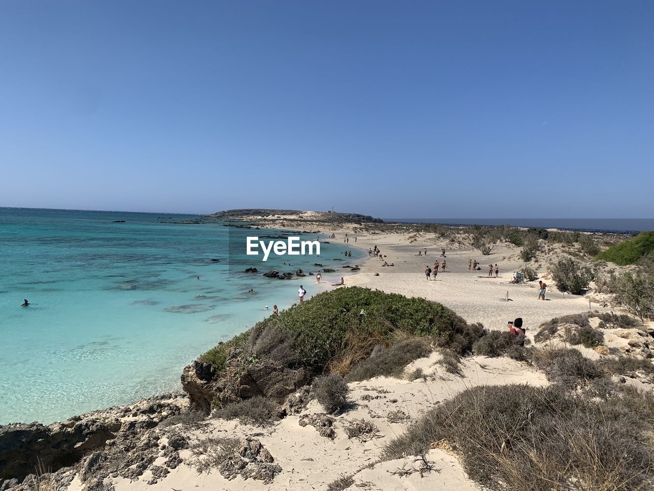 SCENIC VIEW OF BEACH AGAINST CLEAR SKY