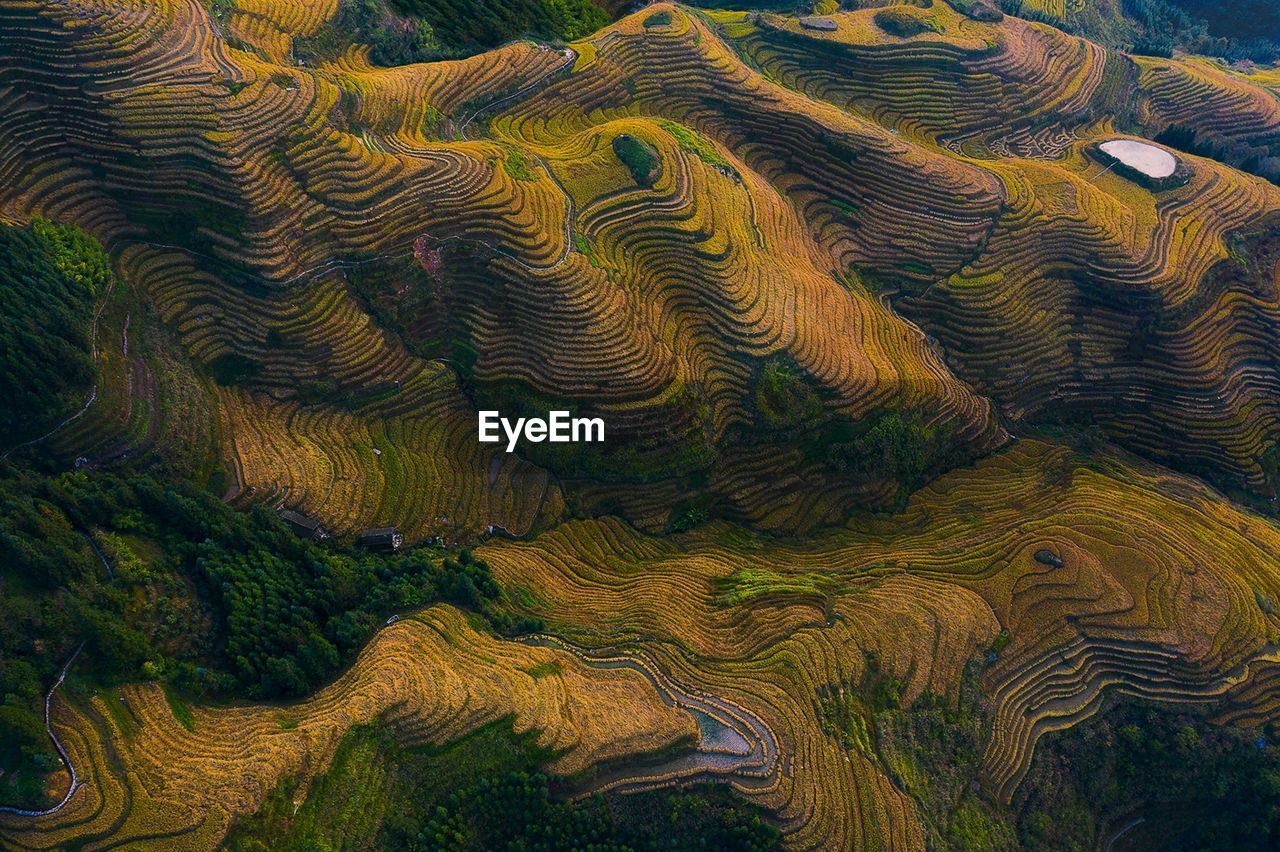 Longji rice terraces in guilin. 