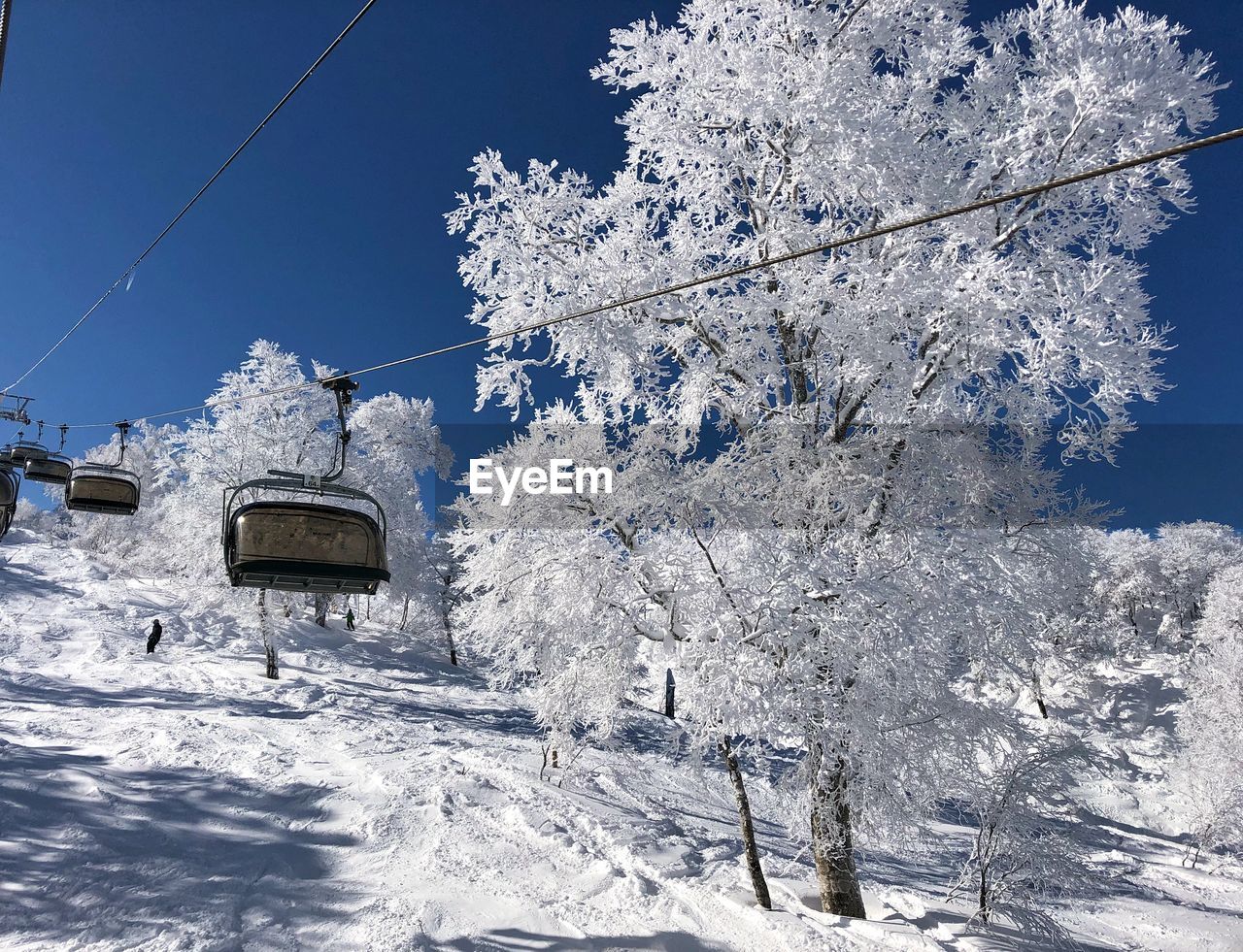 snow, winter, cold temperature, nature, tree, beauty in nature, freezing, sky, plant, white, architecture, landscape, scenics - nature, environment, blue, mountain, frozen, no people, cable car, day, transportation, built structure, land, mountain range, sunlight, cable, tranquil scene, outdoors, travel, clear sky, building exterior, piste, tranquility, ski lift, building, travel destinations, mode of transportation, non-urban scene