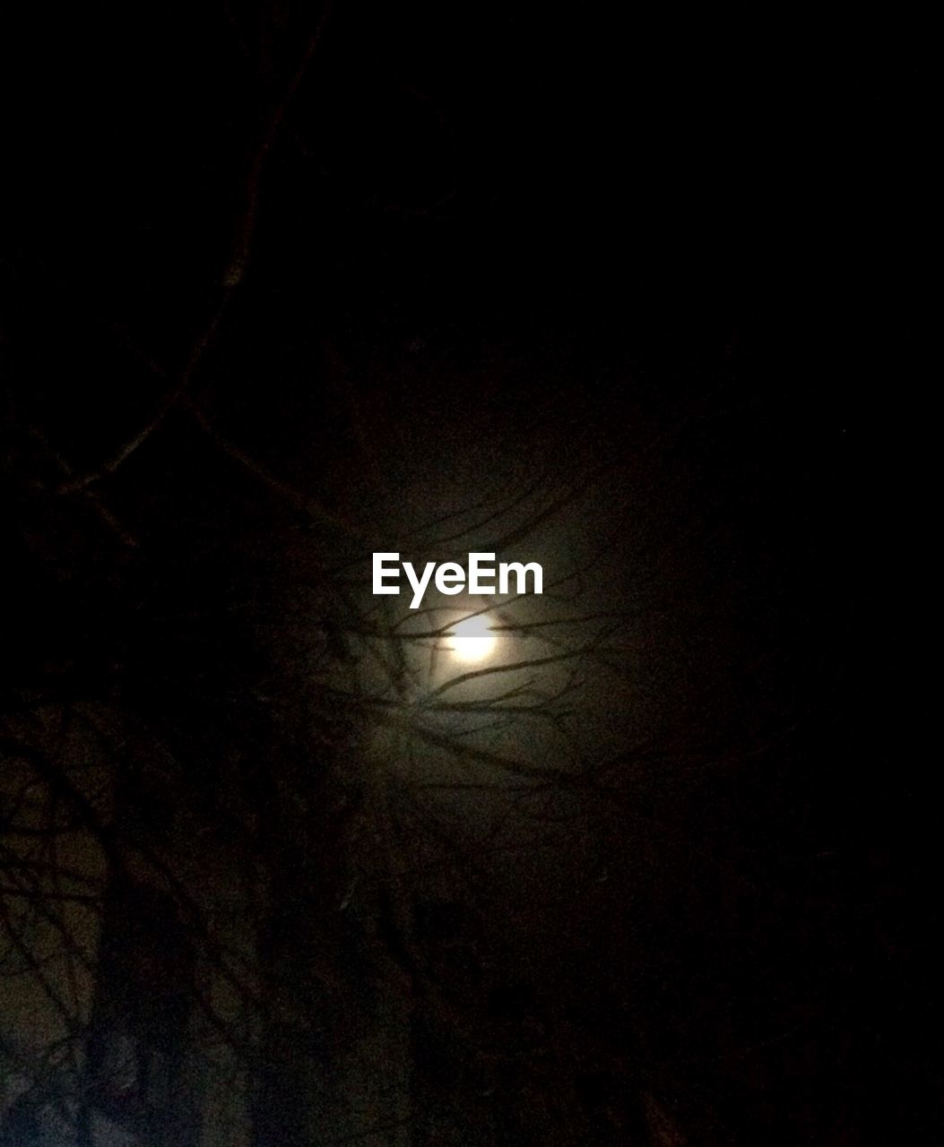 LOW ANGLE VIEW OF ILLUMINATED MOON AT NIGHT