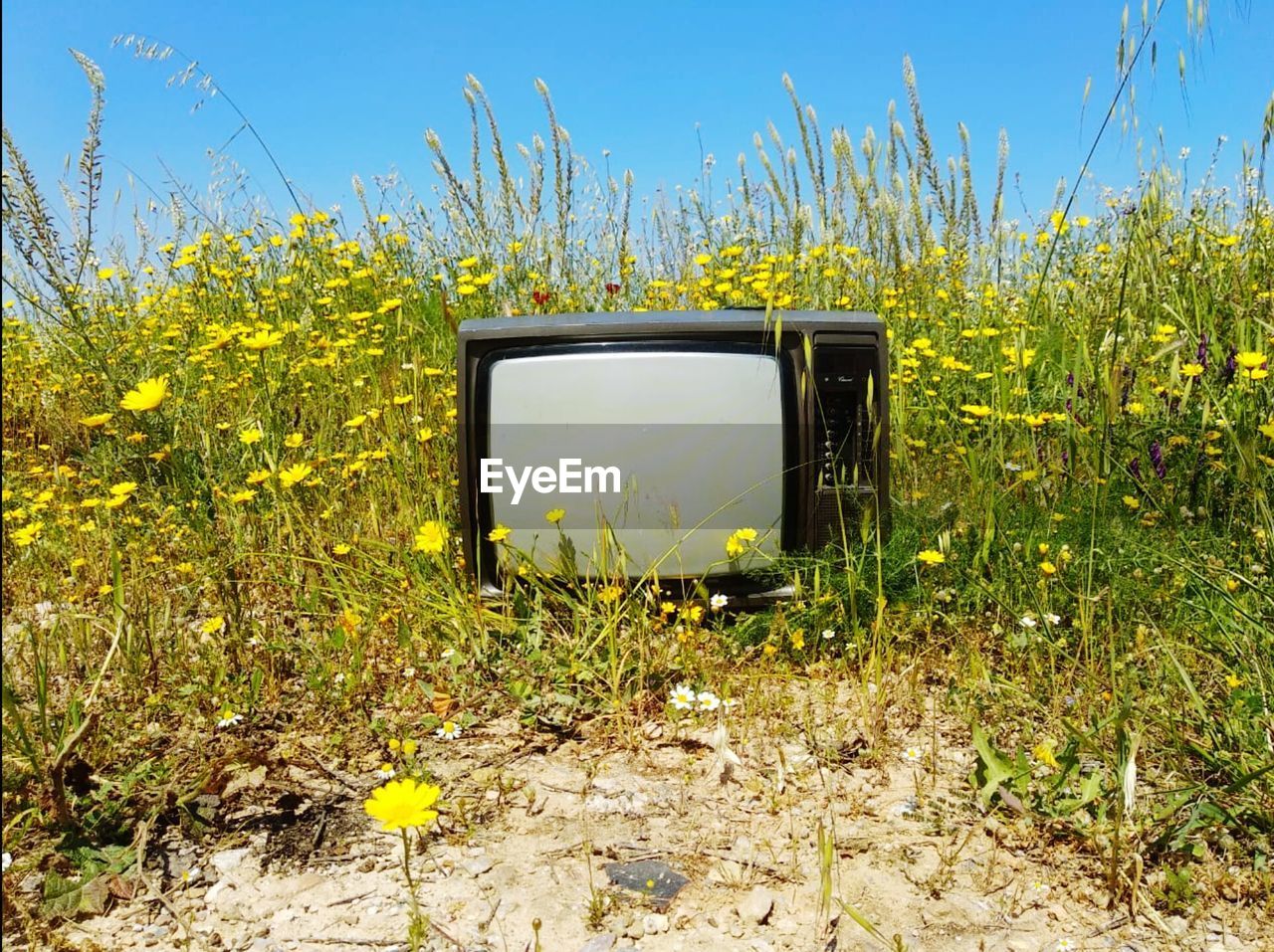 Vintage tv in field