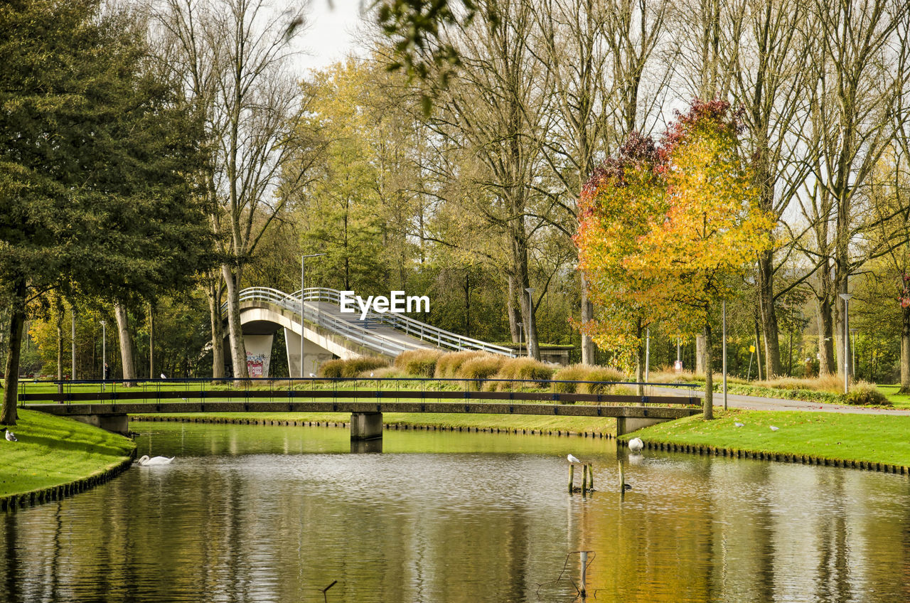 Two pedestrian bridges, one across a pond and one across a road in zuiderpark in autumn