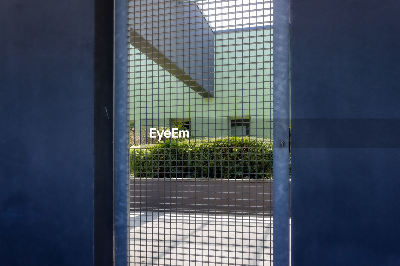 PLANTS SEEN THROUGH GLASS WINDOW