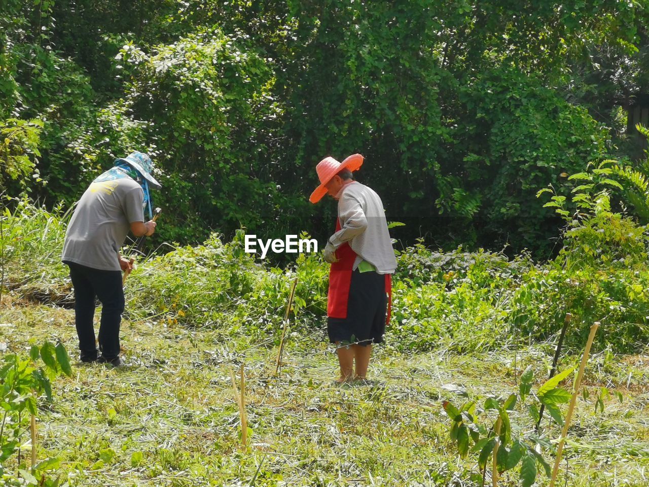 FULL LENGTH OF MAN WALKING IN FIELD