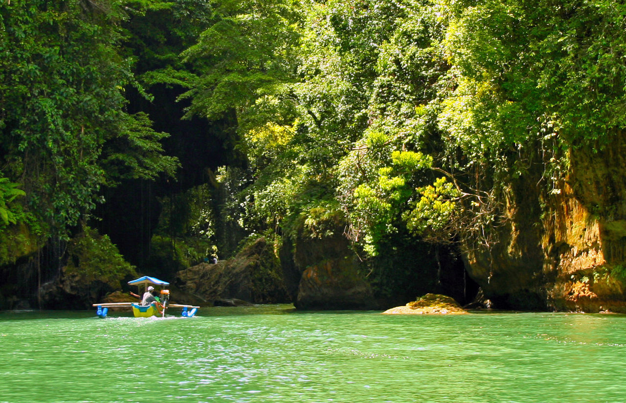 PEOPLE SITTING ON RIVERBANK AGAINST TREES