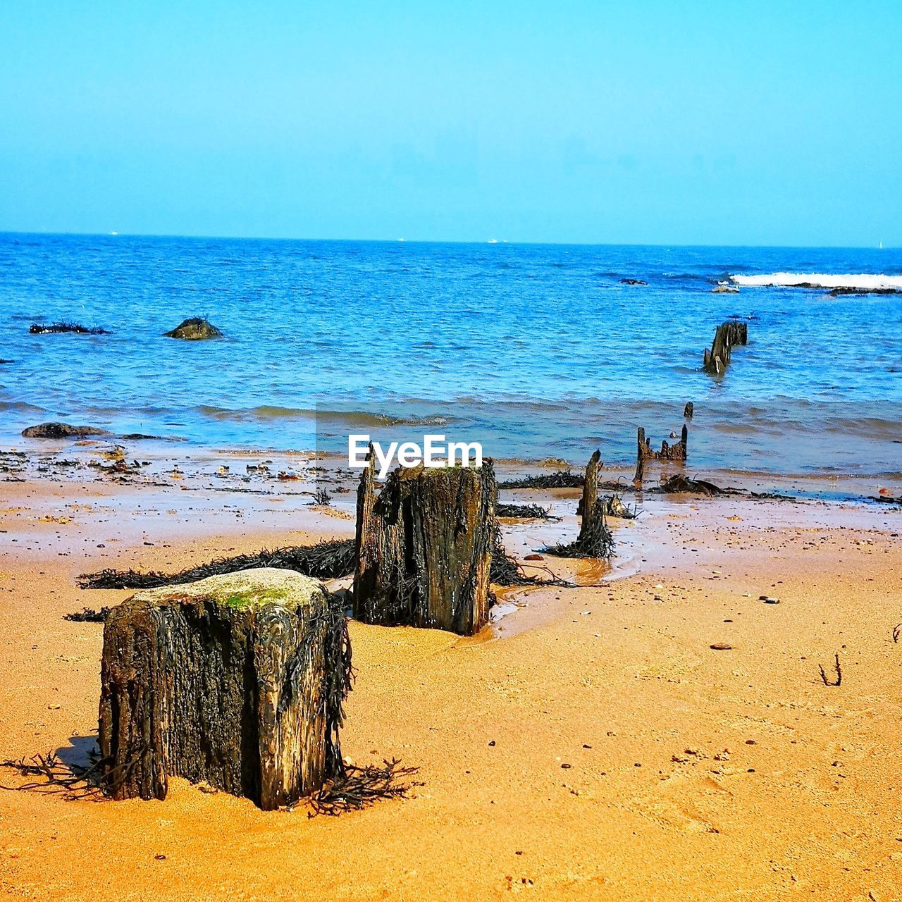 Posts on the beach.