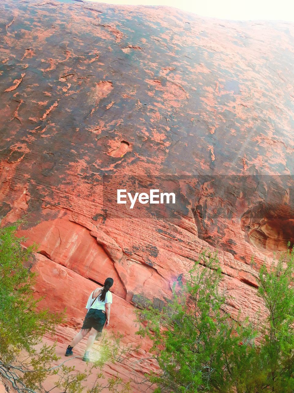 Rear view of woman standing against large rock at valley of fire state park