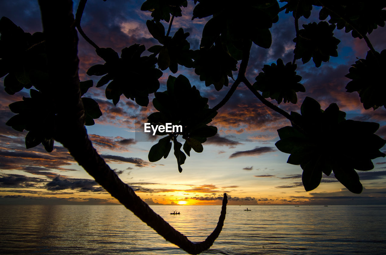 Silhouette tree by sea against sky during sunset