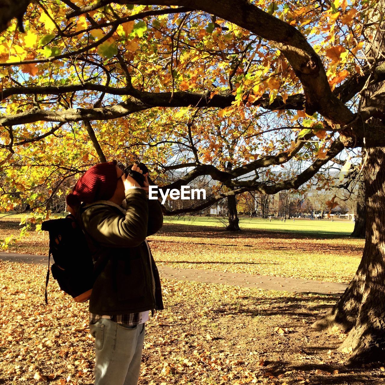 Man photographing tree while standing at park during autumn