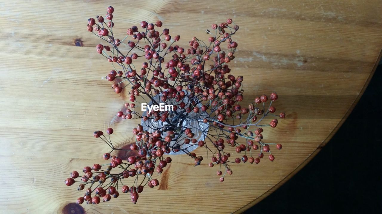 HIGH ANGLE VIEW OF FLOWER ON TABLE