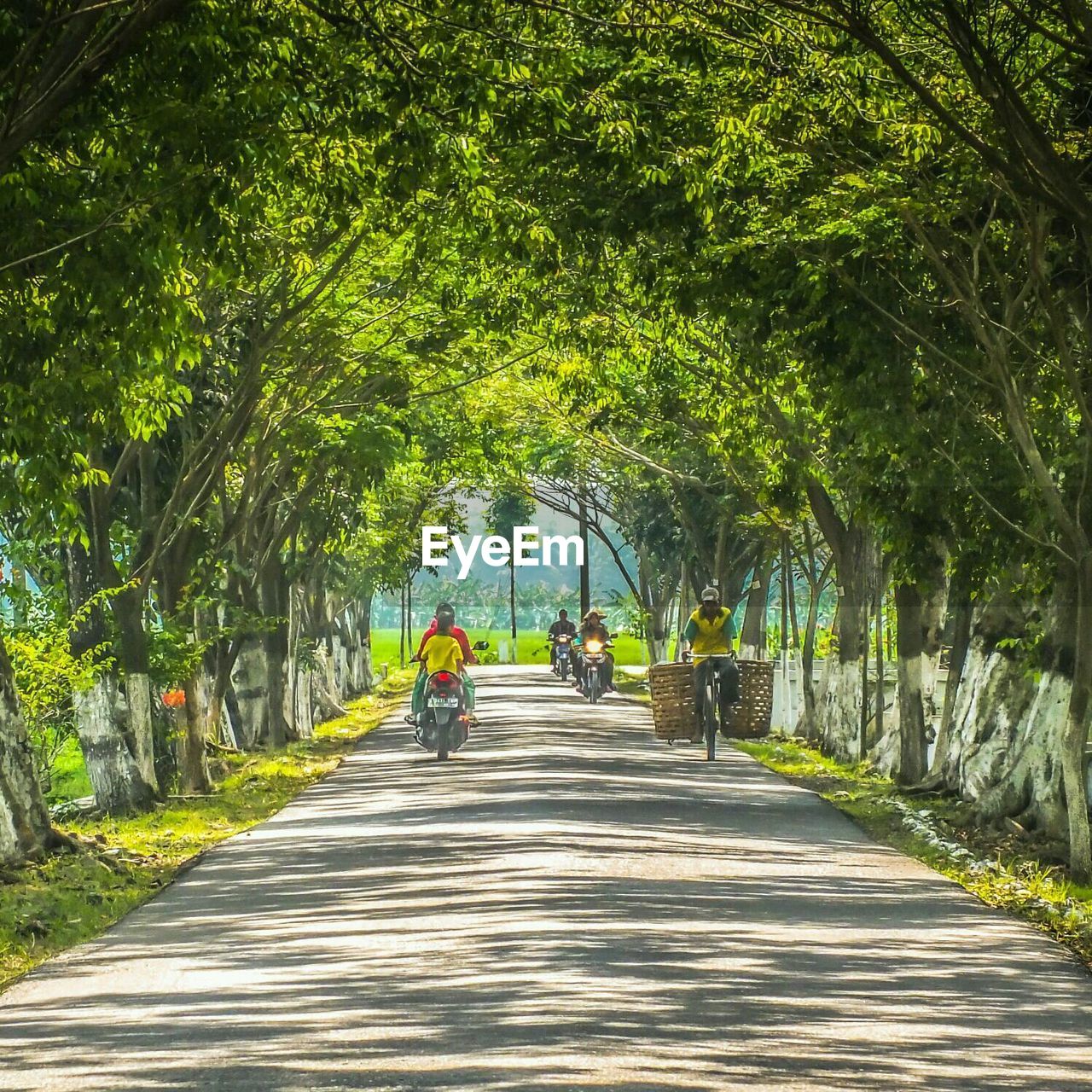 Road with bicycles and motor bikes along trees