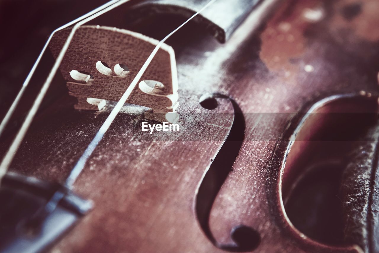 Close-up of violin