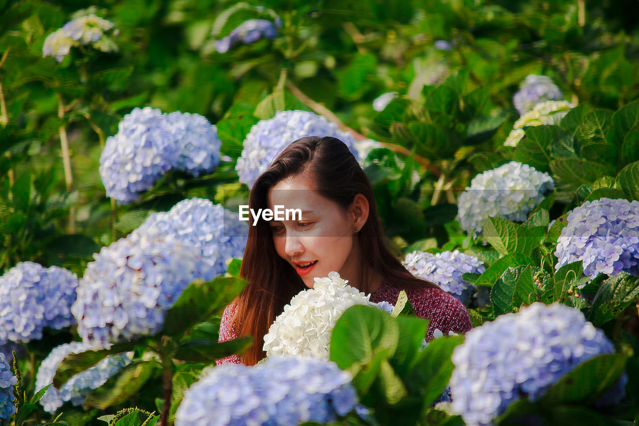 PORTRAIT OF WOMAN WITH PURPLE FLOWER