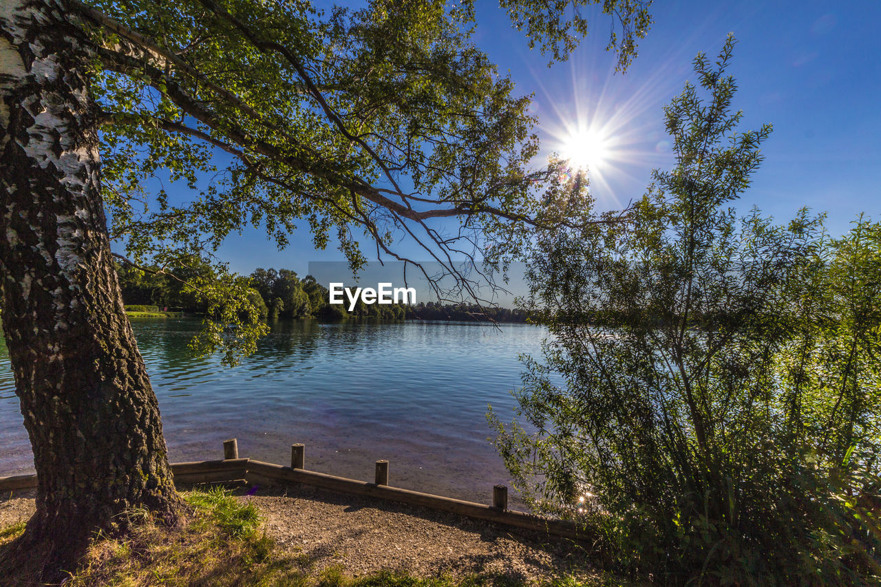 TREES BY LAKE AGAINST SKY