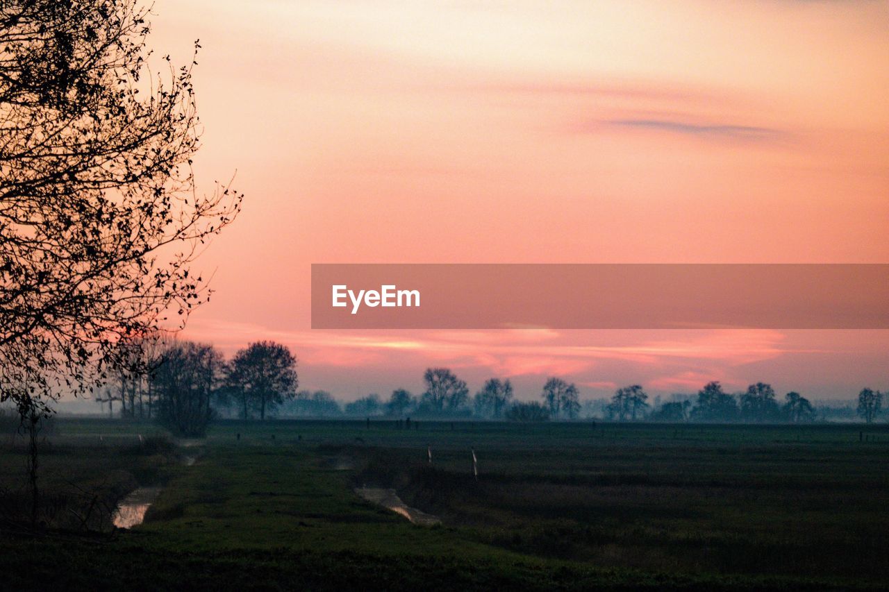 SCENIC VIEW OF FIELD AGAINST ORANGE SKY