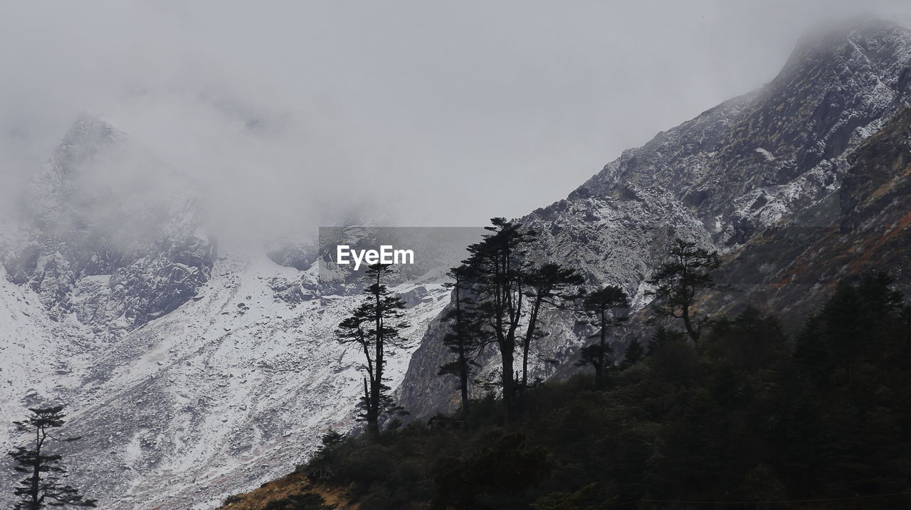 mountain, scenics - nature, environment, snow, beauty in nature, mountain range, landscape, nature, tree, cold temperature, sky, fog, winter, land, plant, cloud, ridge, coniferous tree, forest, pinaceae, pine tree, travel destinations, no people, wilderness, travel, summit, non-urban scene, snowcapped mountain, mountain peak, rock, pine woodland, outdoors, tourism, tranquility, mountain pass, tranquil scene, day, activity, valley, adventure