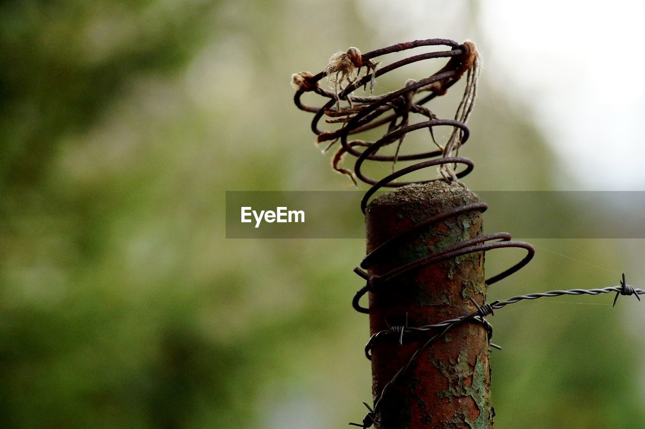 Close-up of barbed wire on bollard