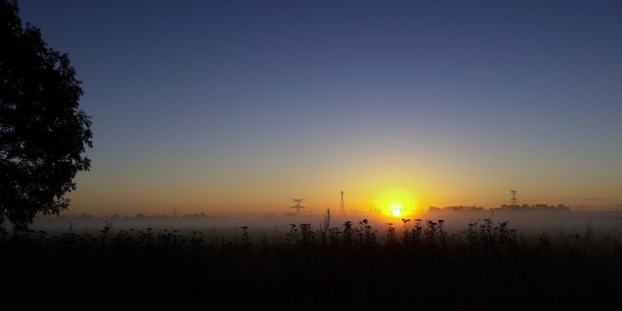 SILHOUETTE TREES AGAINST CLEAR SKY DURING SUNSET