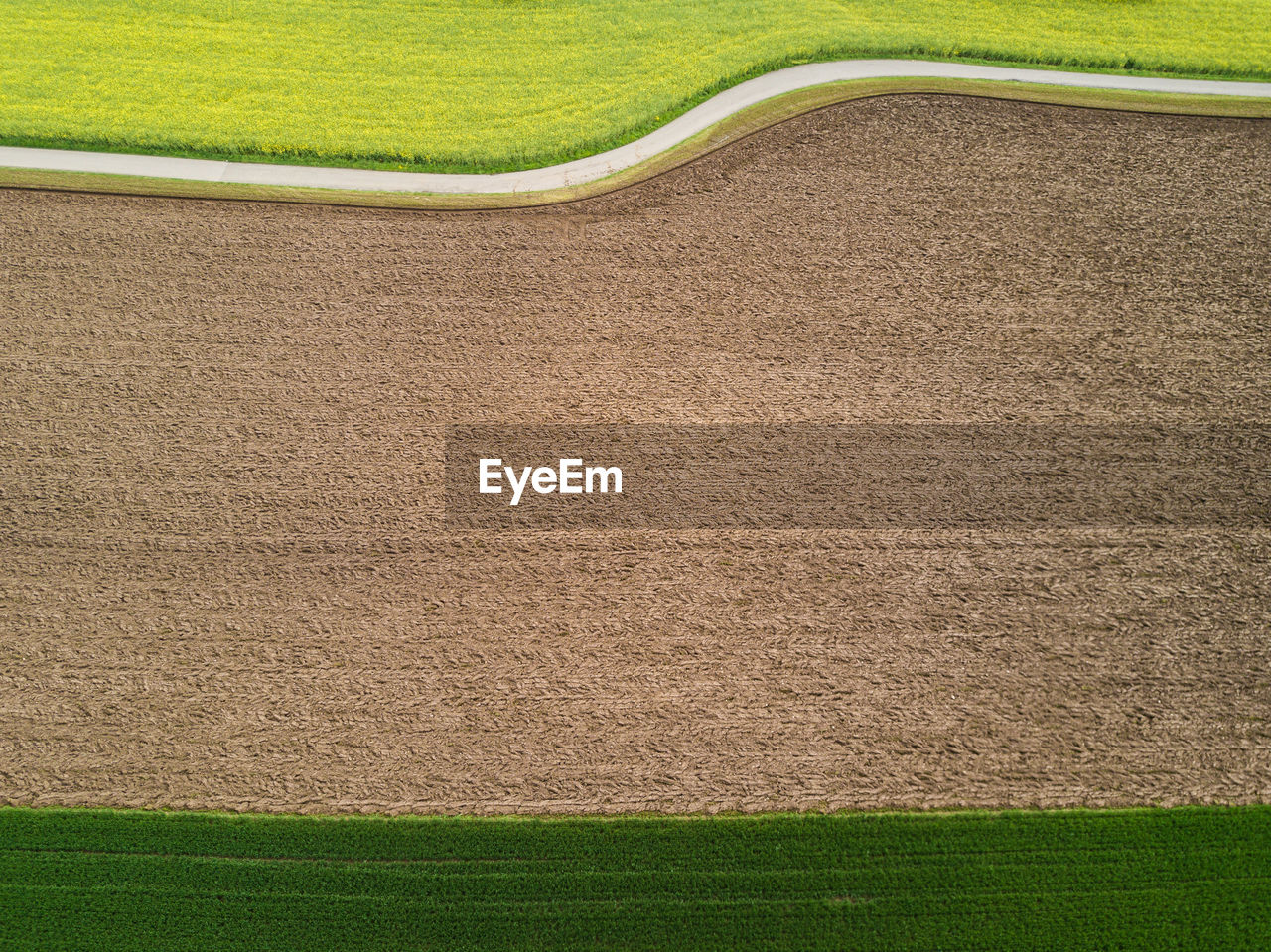 Aerial view of agricultural field