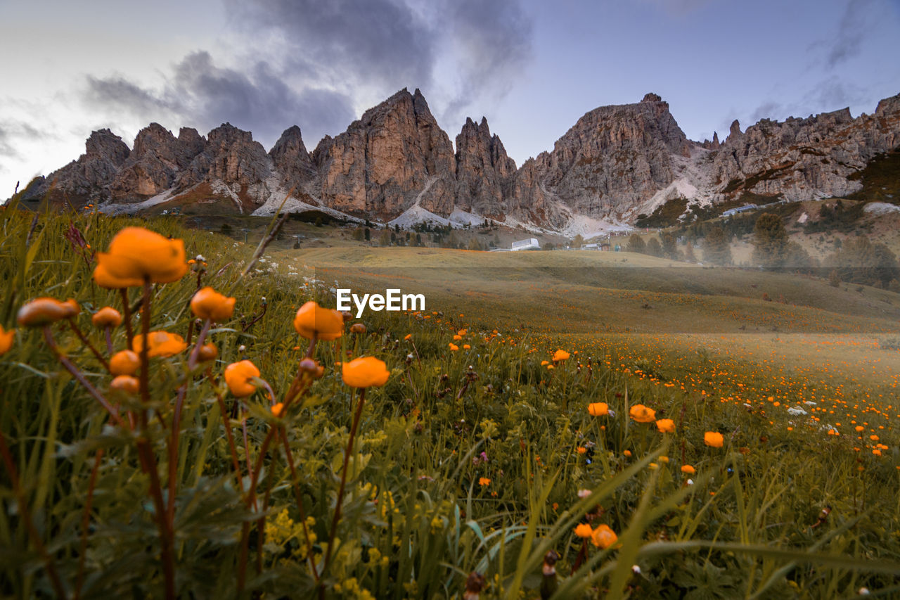 A beautiful morning in the dolomites