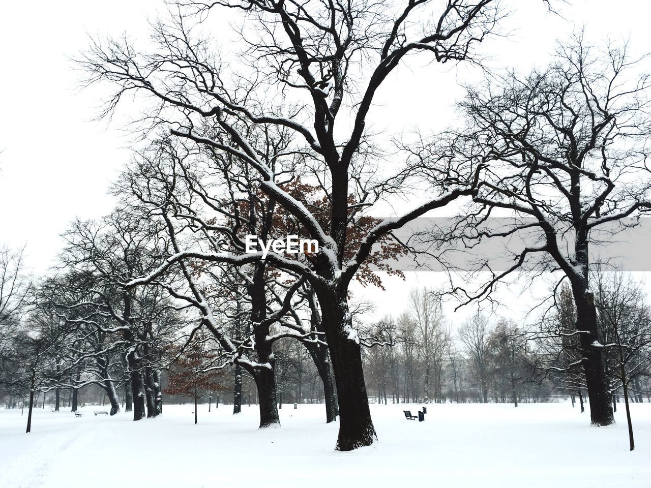 SCENIC VIEW OF SNOW COVERED LANDSCAPE