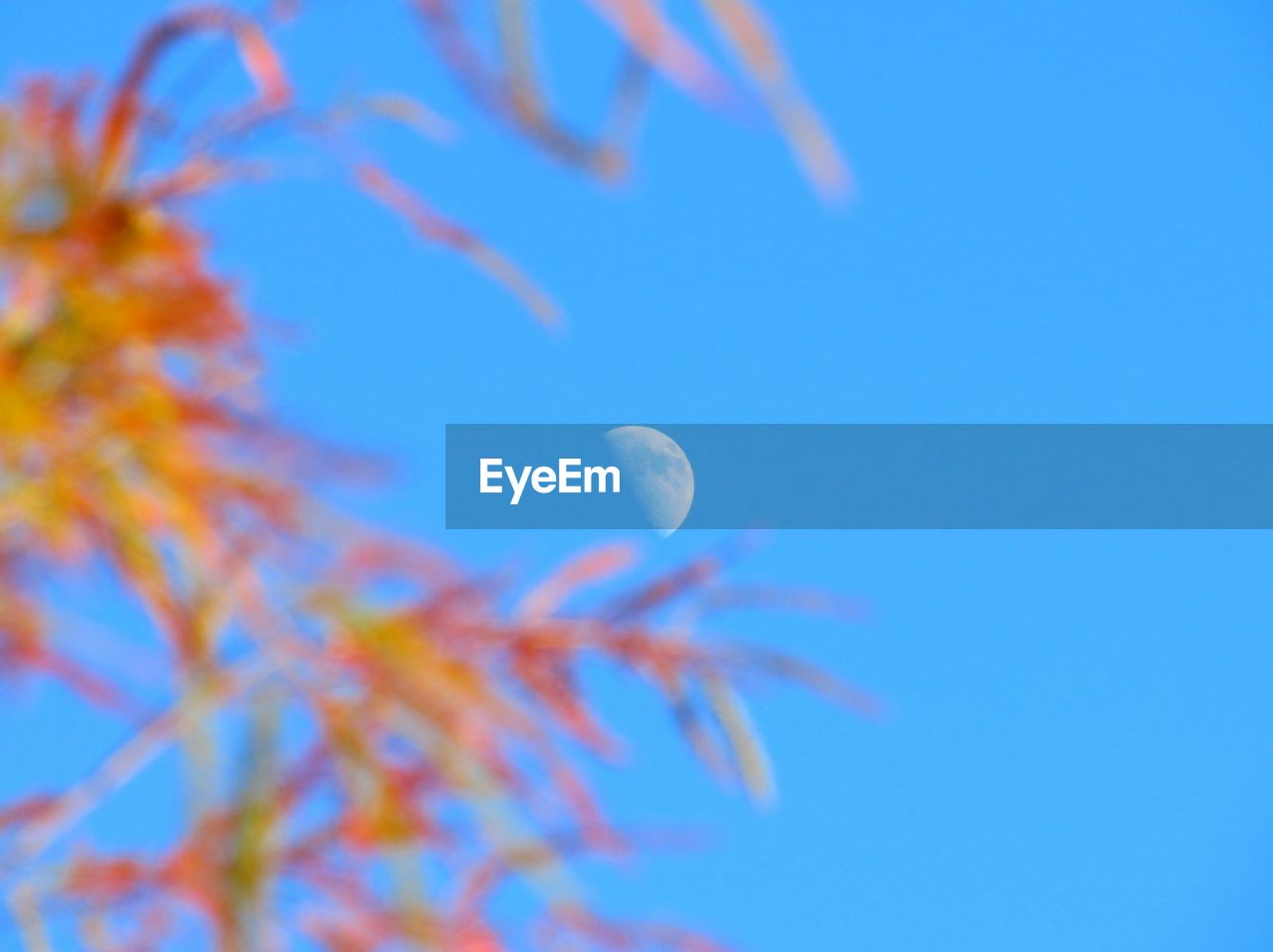 LOW ANGLE VIEW OF BLUE SKY AGAINST MOON