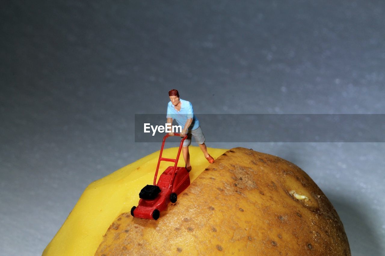 Close-up of figurine with toy on potato