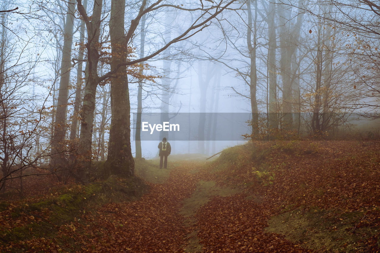 MAN STANDING AMIDST TREES IN FOREST