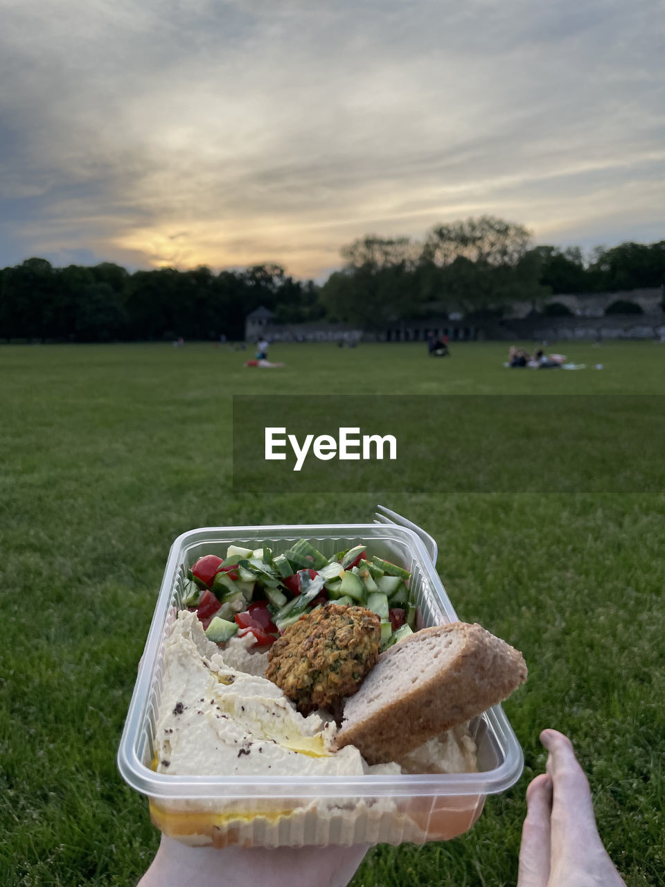 PERSON HOLDING BREAD IN FIELD