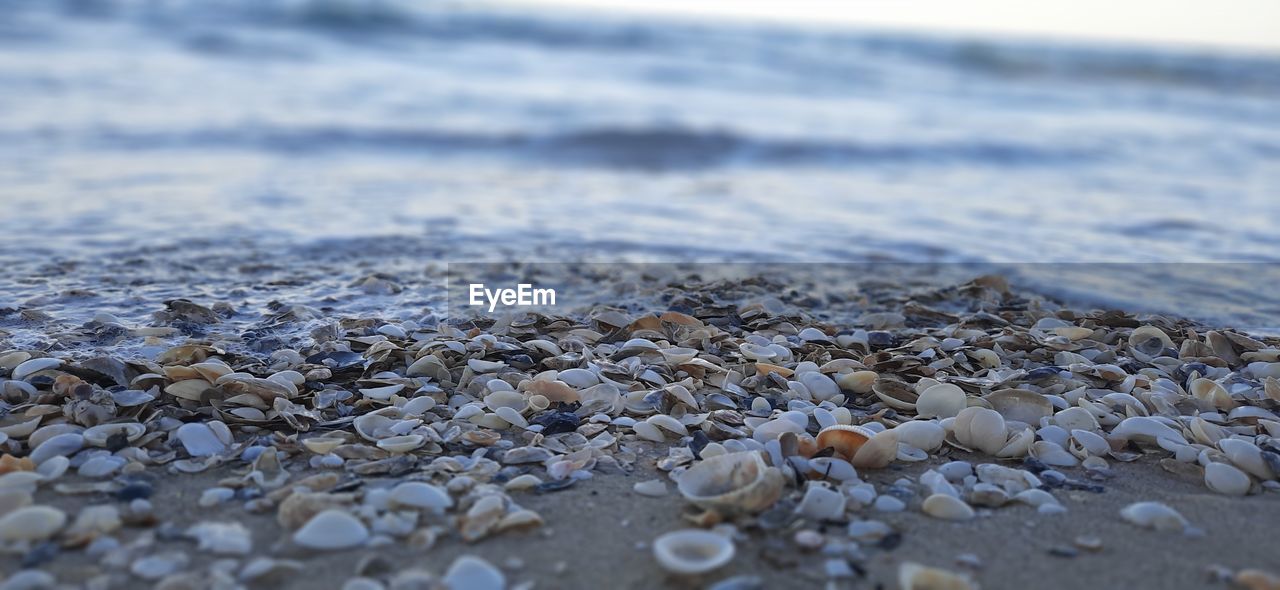 SURFACE LEVEL OF STONES ON BEACH