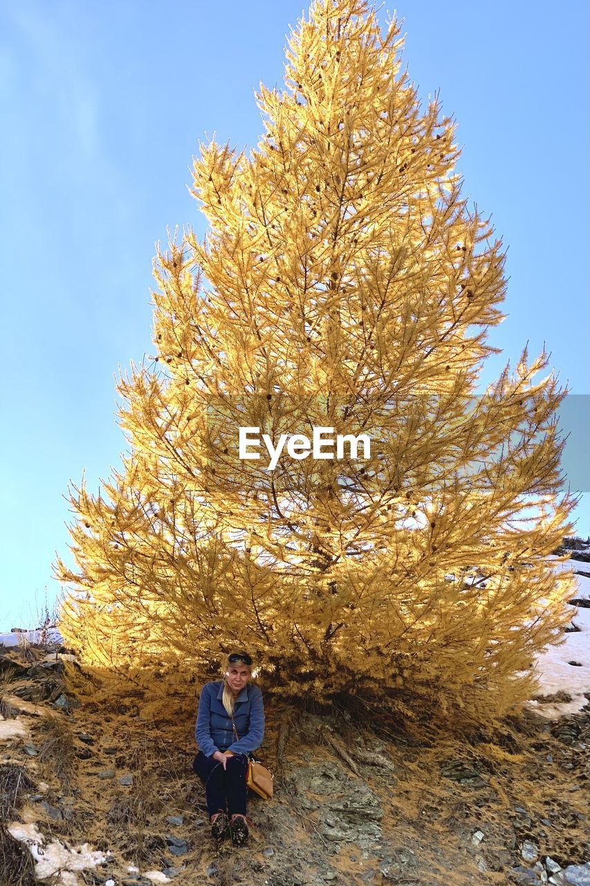 MAN SITTING ON PLANT