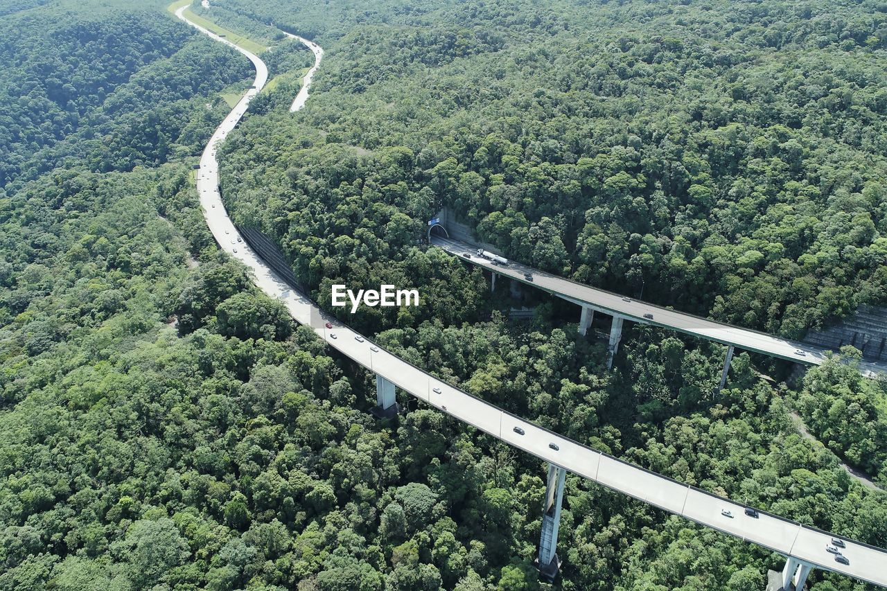 High angle view of road amidst trees in forest