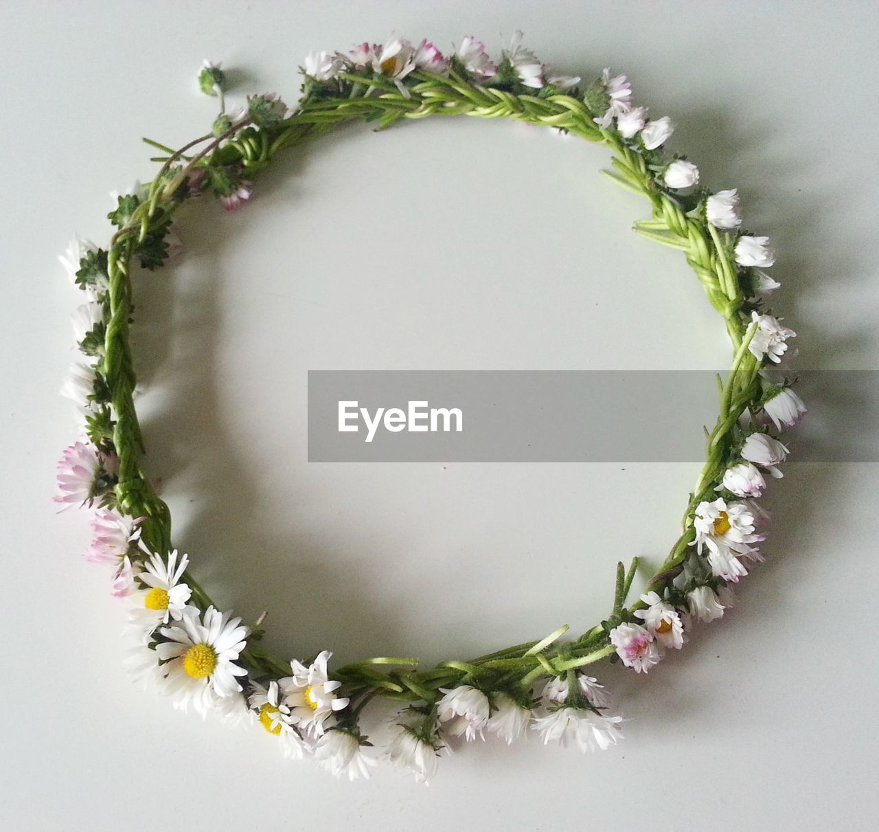 DIRECTLY ABOVE SHOT OF WHITE FLOWERS IN VASE AGAINST WALL