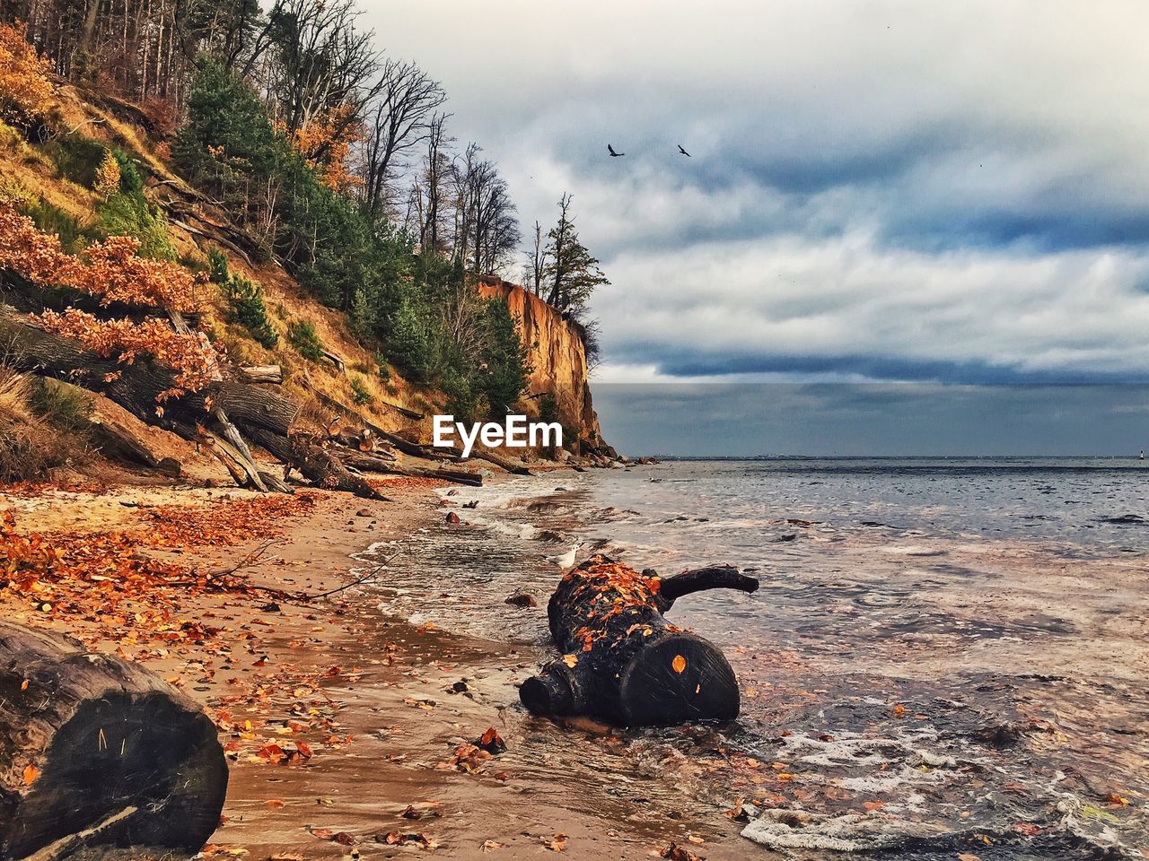 Wooden log on beach against cloudy sky