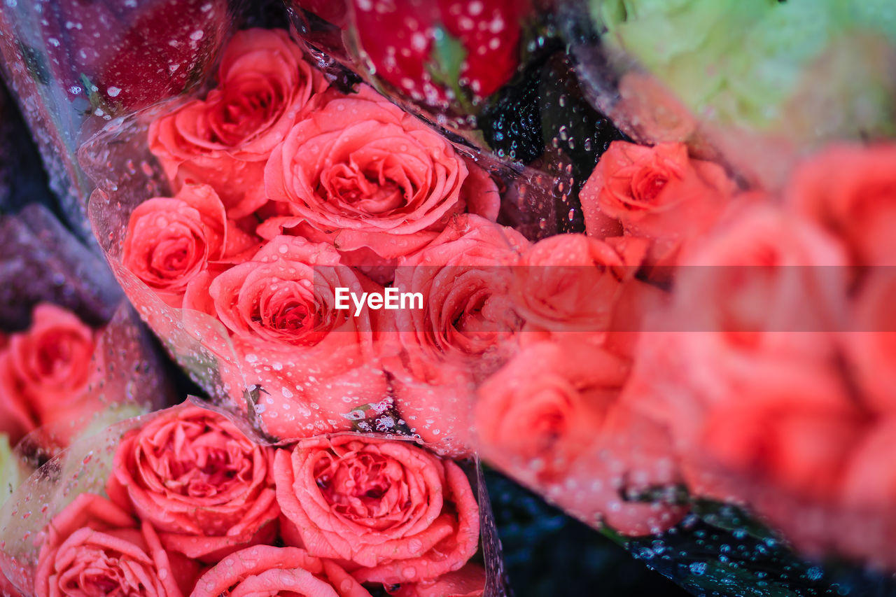 CLOSE-UP OF RED ROSE BOUQUET