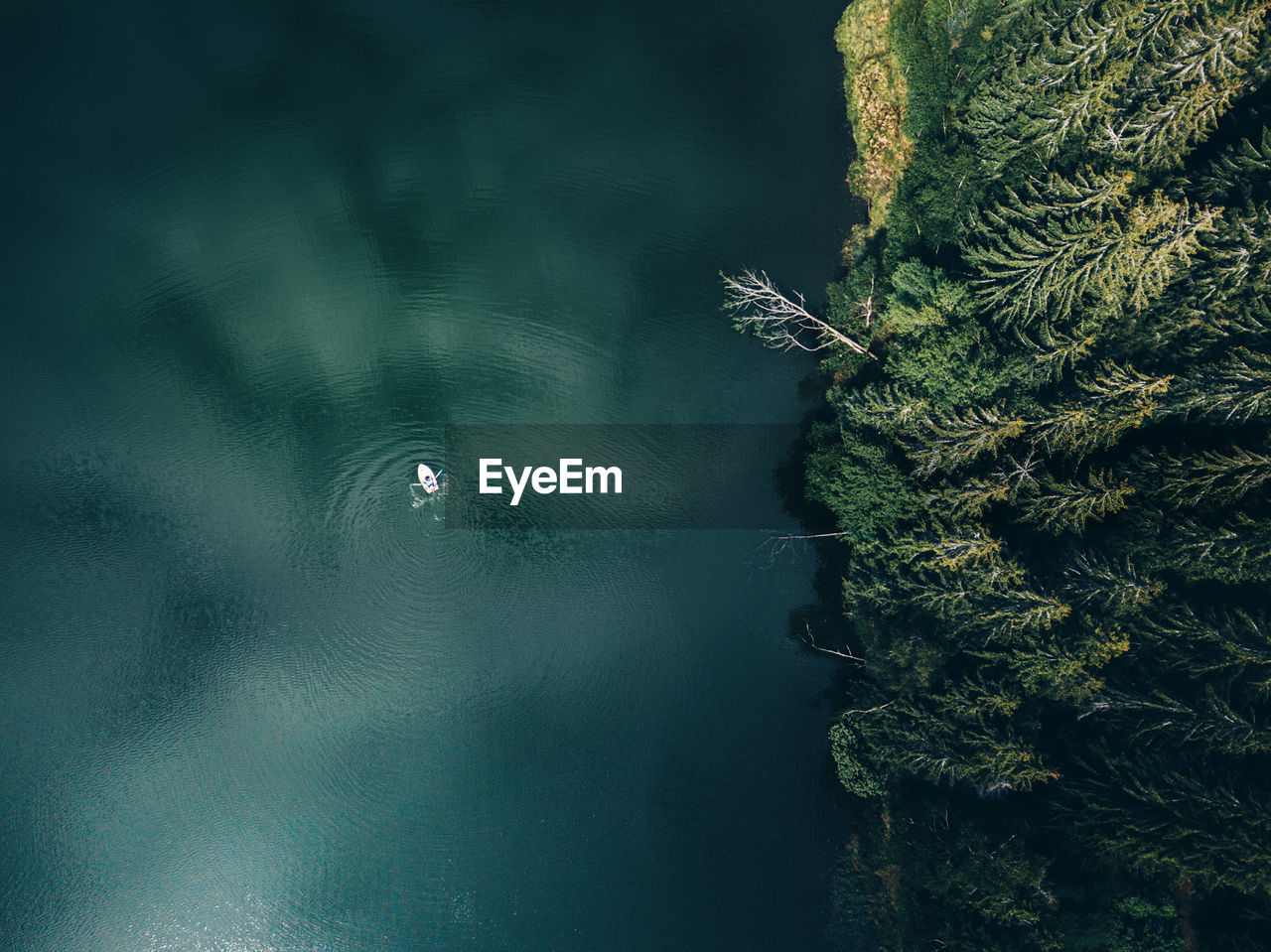 Aerial view of lake by trees in forest