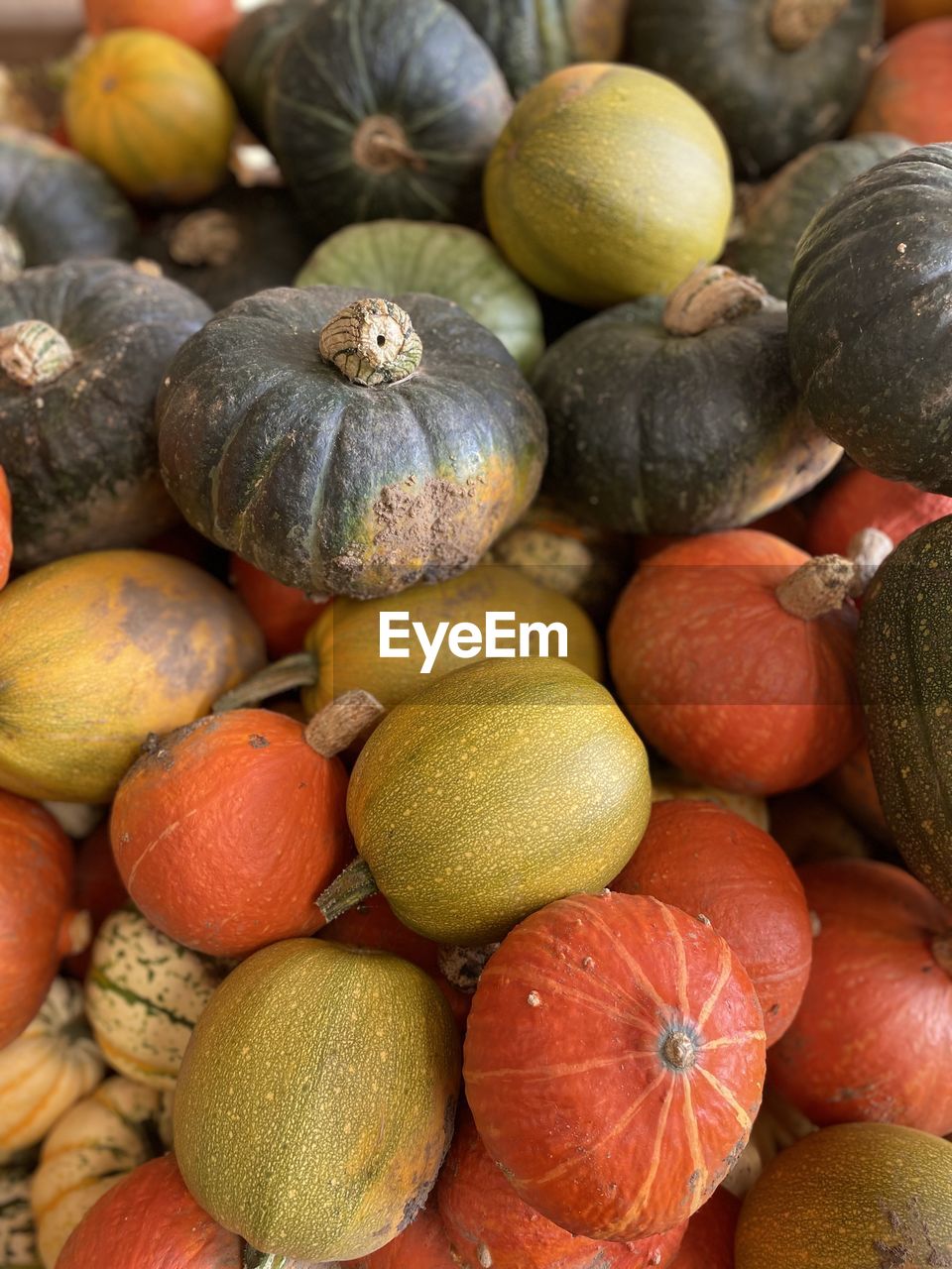 Full frame shot of pumpkins at market