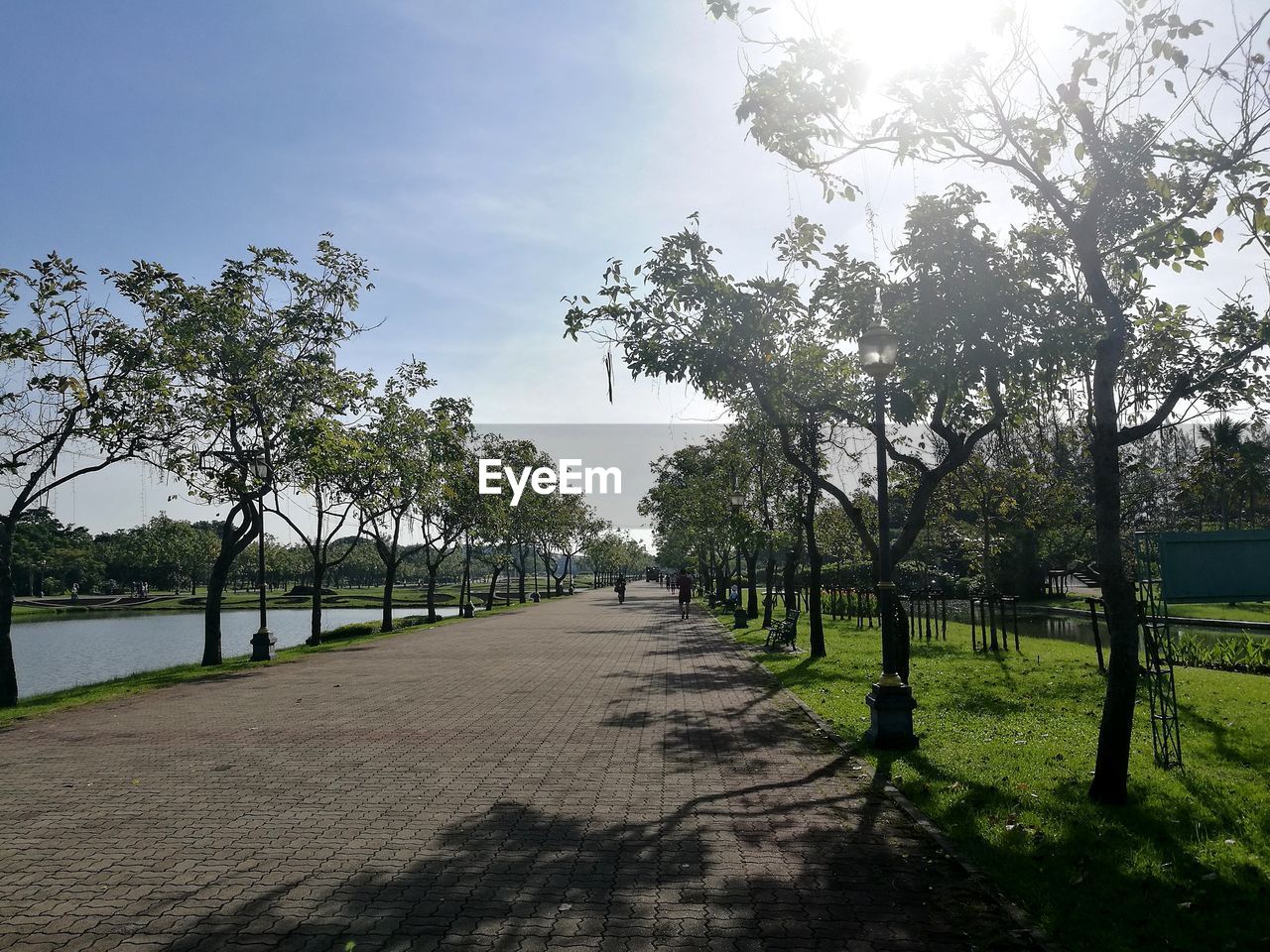 EMPTY FOOTPATH BY TREES AGAINST SKY