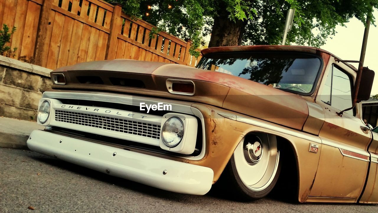 VINTAGE CAR ON TREES