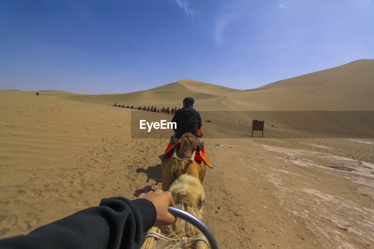 Rear view of man riding on camel at desert