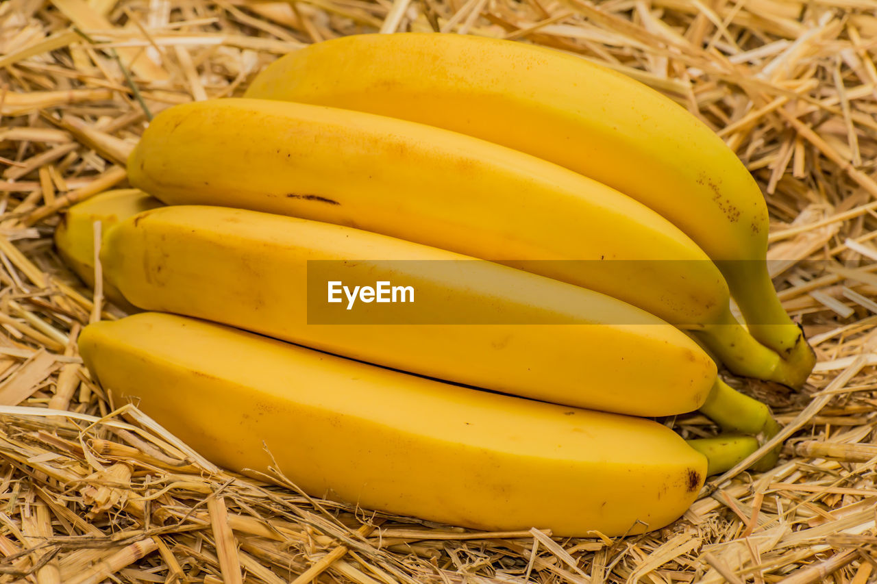 HIGH ANGLE VIEW OF YELLOW FRUIT ON FIELD