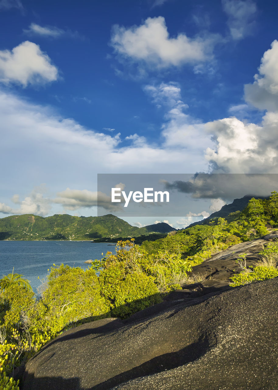 Beautiful landscape on the island of praslin, rocks covered with tropical greenery and turquoise sea